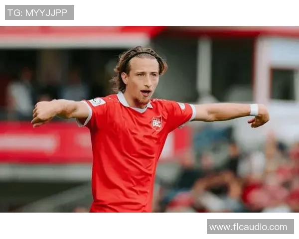 霍芬海姆德甲积分不断攀升，表现出色与实力相符