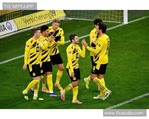 多特主场告捷,德甲积分飙升,重返争冠榜前列 多特主场告捷,德甲积分飙升,重返争冠榜前列